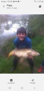 Common Carp
