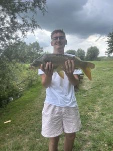 Mirror Carp