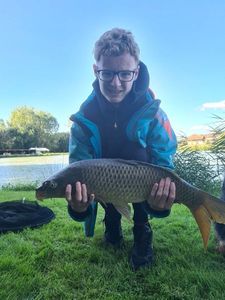 Common Carp