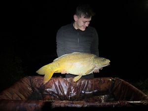 Mirror Carp