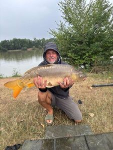 Mirror Carp