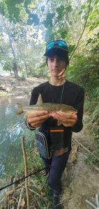 Barbel