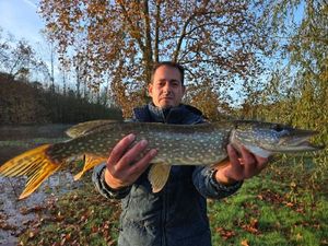 Northern Pike