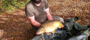 Mirror Carp