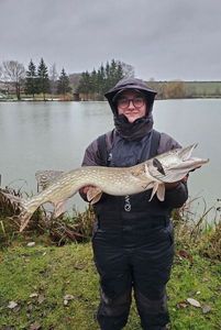 Northern Pike