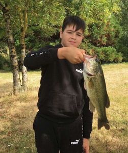 Largemouth Bass