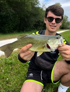 Largemouth Bass