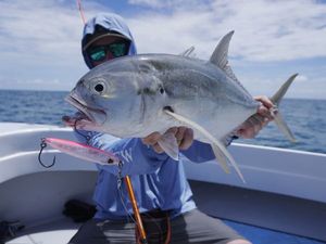 Crevalle Jack