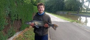 Zander