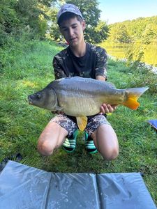 Mirror Carp