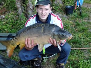 Mirror Carp