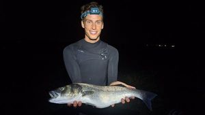 European Bass (Seabass)
