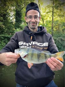 European Perch