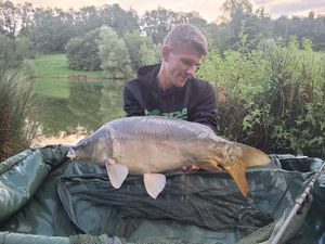 Mirror Carp