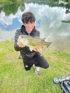 Largemouth Bass
