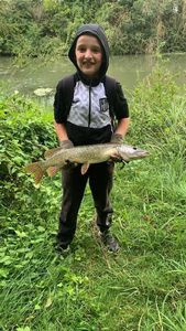 Northern Pike