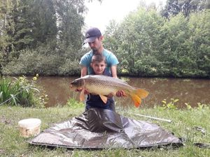 Common Carp