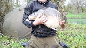 Mirror Carp
