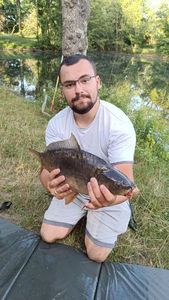 Leather Carp