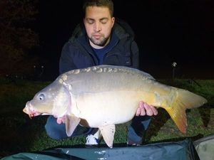 Mirror Carp