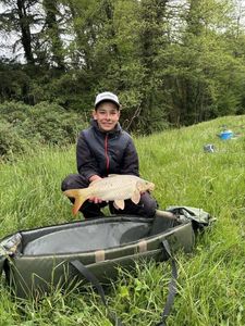 Common Carp