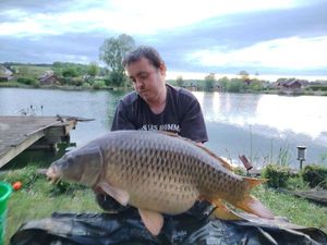 Common Carp