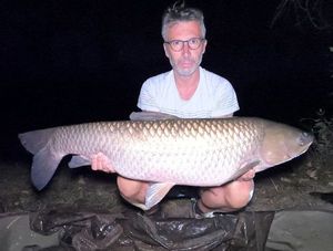 Grass Carp