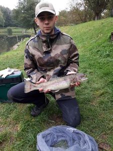 Rainbow Trout