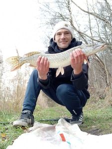 Northern Pike