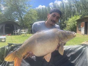 Mirror Carp