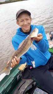 Zander