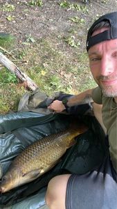 Common Carp