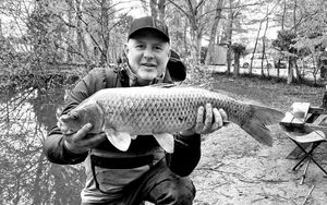 Common Carp