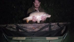 Koï Fish