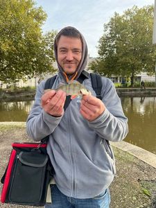 European Perch