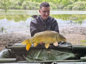 Mirror Carp