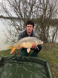 Mirror Carp