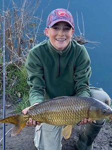 Common Carp