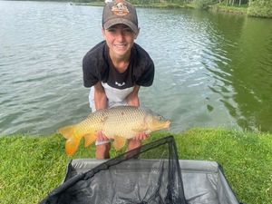 Common Carp
