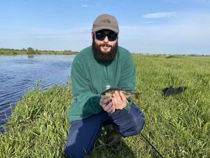 European Perch