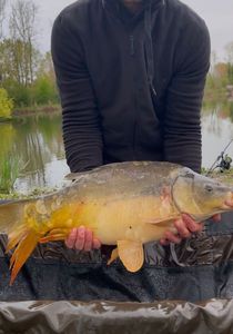 Leather Carp