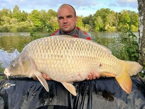 Common Carp