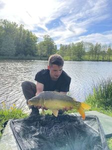 Mirror Carp