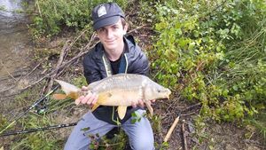 Mirror Carp