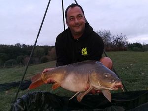 Mirror Carp