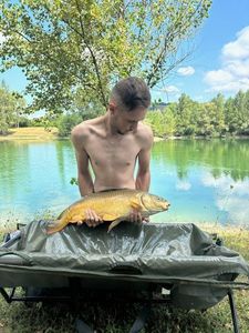 Mirror Carp