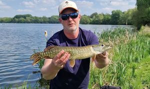 Northern Pike