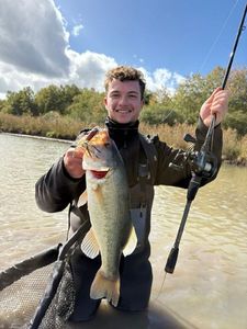 Largemouth Bass