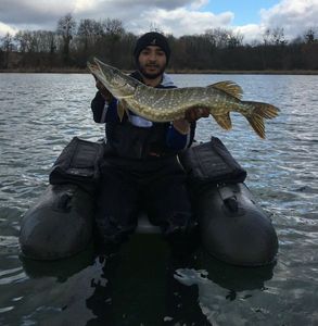 Northern Pike