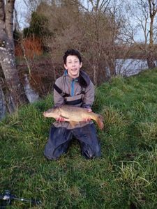Common Carp